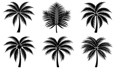 Coconut Tree Leaf Silhouette vector illustration