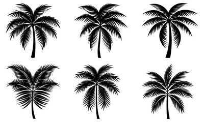 Coconut Tree Leaf Silhouette vector illustration