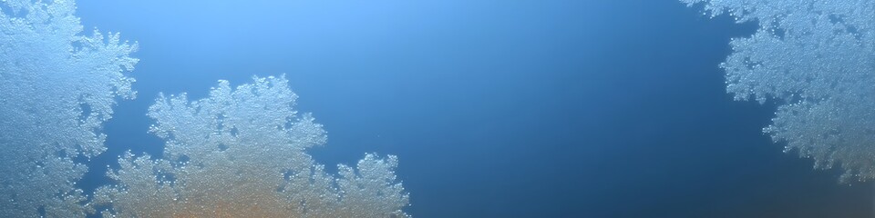 Underwater Coral Reef: A mesmerizing underwater scene showcasing the delicate, intricate structure of a vibrant coral reef, teeming with life.