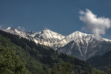 Obraz premium mountain landscape in the alps