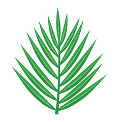 Palm leaf. Vector 3d illustration isolated on white background.