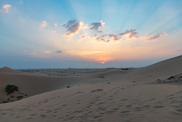 Abu Dhabi Desert Sunset