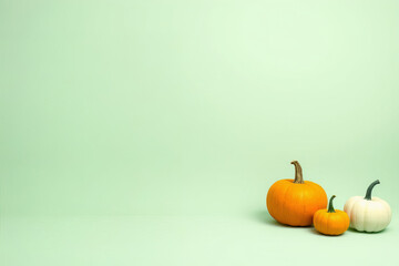 Three pumpkins on pastel green background with soft light creating calm mood