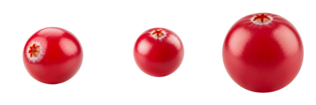 三つのクランベリー 大小比較