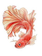 Fototapeta premium 優雅なベタ オレンジ イラスト