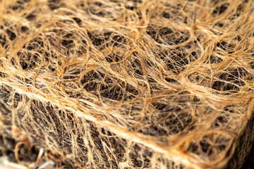 Close up of Healthy Grass Roots in Soil with Germinating Seeds, Agriculture and Gardening Concept,...