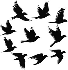 Freedom in Flight Bird Silhouette at Sunrise