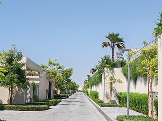 Villa's Or Houses With Their Cream Color Design And Front Side Outdoor View. Green Landscaping With Washingtonia Trees At Front Side Of Villa's. Interlock Road Passing At Front Of The Villa's
