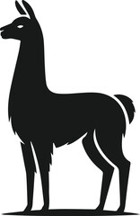 llama alpaca silhouette animal vector drawing