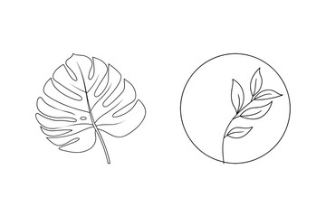 Simple line art illustrations of tropical monstera leaf and botanical circle motif