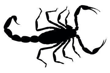Vector art of Black scorpion silhouette isolated on white background