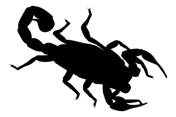 Vector art of Black scorpion silhouette isolated on white background