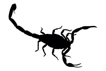 Vector art of Black scorpion silhouette isolated on white background