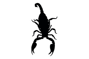 Vector art of Black scorpion silhouette isolated on white background
