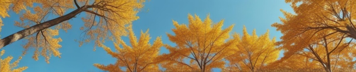Fototapeta premium Golden autumn trees, vibrant blue sky backdrop, scenic, sunlight, texture