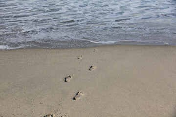 footprints in the sand