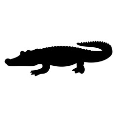 A captivating silhouette of a strong alligator walking forward in the wild