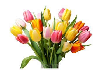 Colorful spring tulips bouquet isolated on white background isolated on a white background