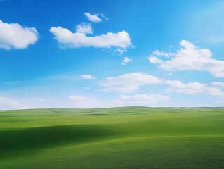 Fototapeta premium A vast green field under a blue sky with scattered clouds