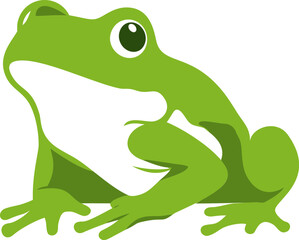 Naklejka premium Green cartoon frog with big eyes and white belly. Vector illustration