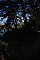Obraz premium Coast in montenegro, Sutomore beach