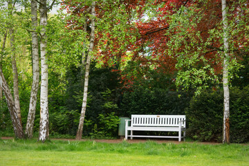The bench