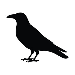 Silhouette of a majestic crow standing on the ground looking off into distance