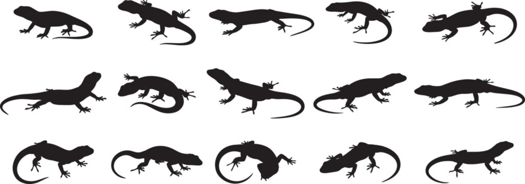 Collection of lizard silhouettes vector illustration reptiles wildlife graphic design animal pattern isolated 100