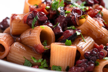 Maccheroni al ragù di polpo, pasta italiana 