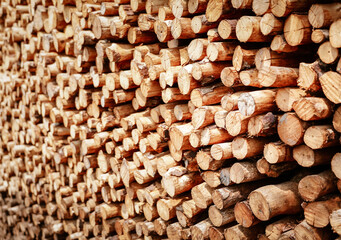 Background of heap firewood stack from Mangrove forest, natural wood, Background of dry chopped firewood logs.