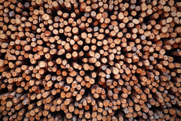 Background of heap firewood stack from Mangrove forest, natural wood, Background of dry chopped firewood logs.