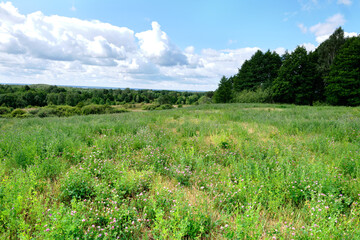 Beautiful landscape with forest and clouds