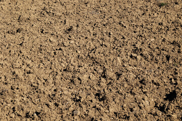 dettagli di un campo di terra arato e smosso