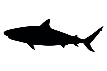 Vector art of Black shark silhouette isolated on transparent background