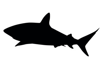 Vector art of Black shark silhouette isolated on transparent background