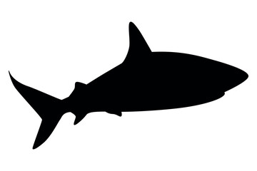 Vector art of Black shark silhouette isolated on transparent background