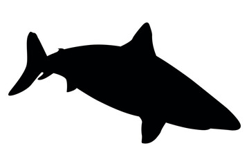 Vector art of Black shark silhouette isolated on transparent background