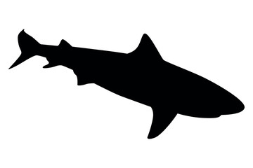 Vector art of Black silhouette of a shark isolated on transparent background