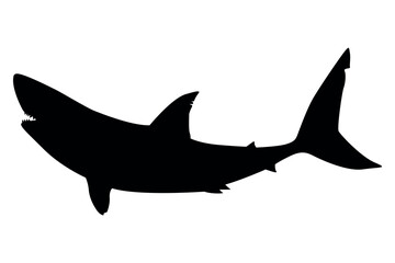 Obraz premium Vector art of Black shark silhouette isolated on transparent background