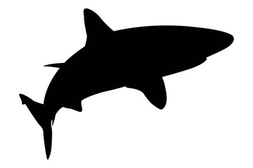 Vector art of Black shark silhouette isolated on transparent background