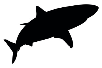 Vector art of Black shark silhouette isolated on white background