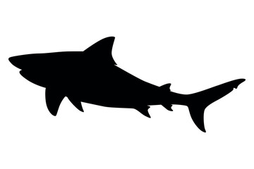 Vector art of Black shark silhouette isolated on transparent background
