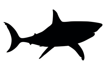 Vector art of Black shark silhouette isolated on transparent background, a powerful marine predator