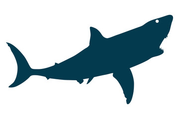 Vector art of Illustration of a shark isolated on white background