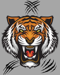 tiger head vector