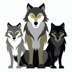 A pack of four wolves with varying shades of gray and yellow eyes stands and sits together with white background