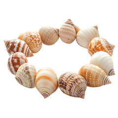 Trendy Shell Bracelet with a Modern Streamlined Design Isolated on Transparent Background