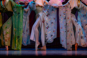 ballerina legs dancing traditional japanese dance. © Ruslan