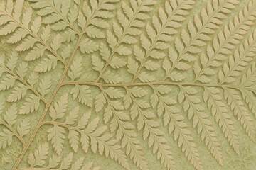 Pastel Dried Fern Leaves Texture &ndash; Muted Moss-Green Hues for Organic Botanical Designs