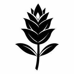 black and white flower